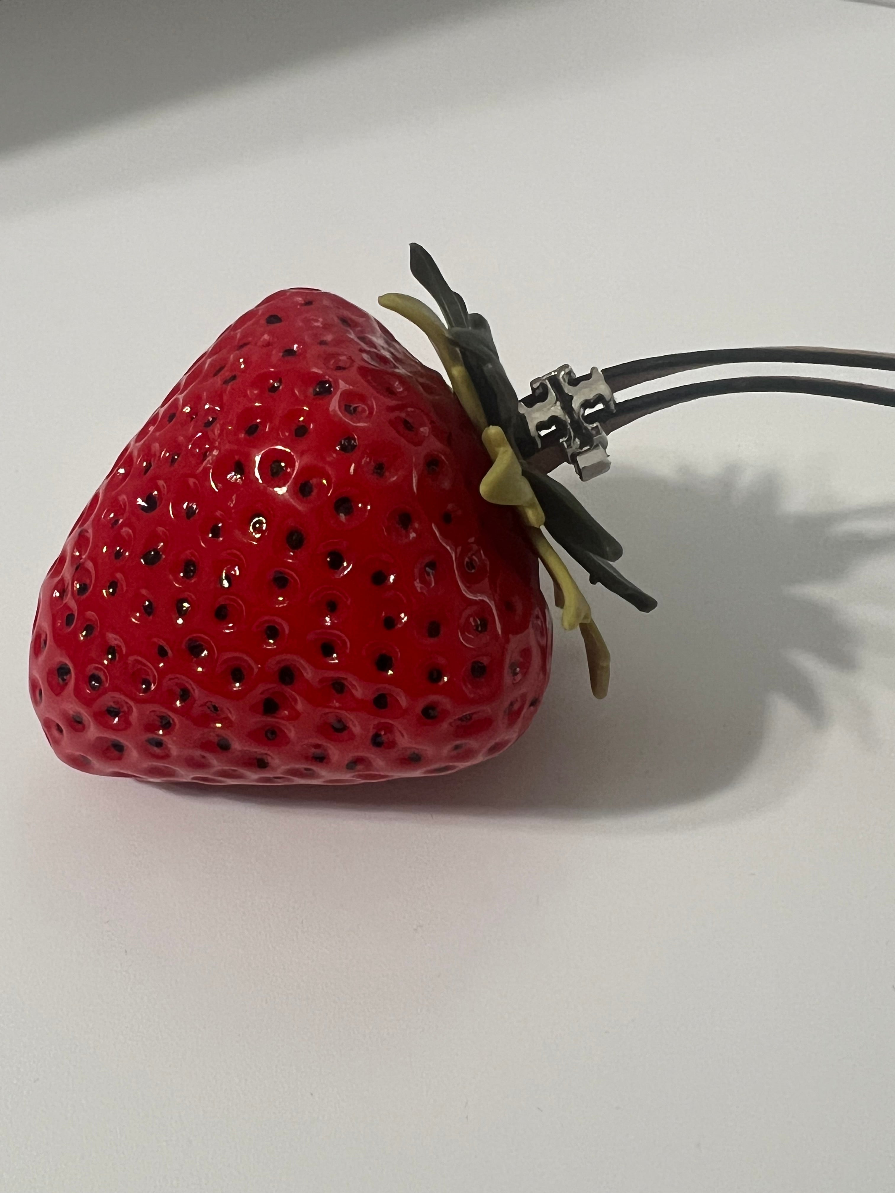 Berry Bag charm